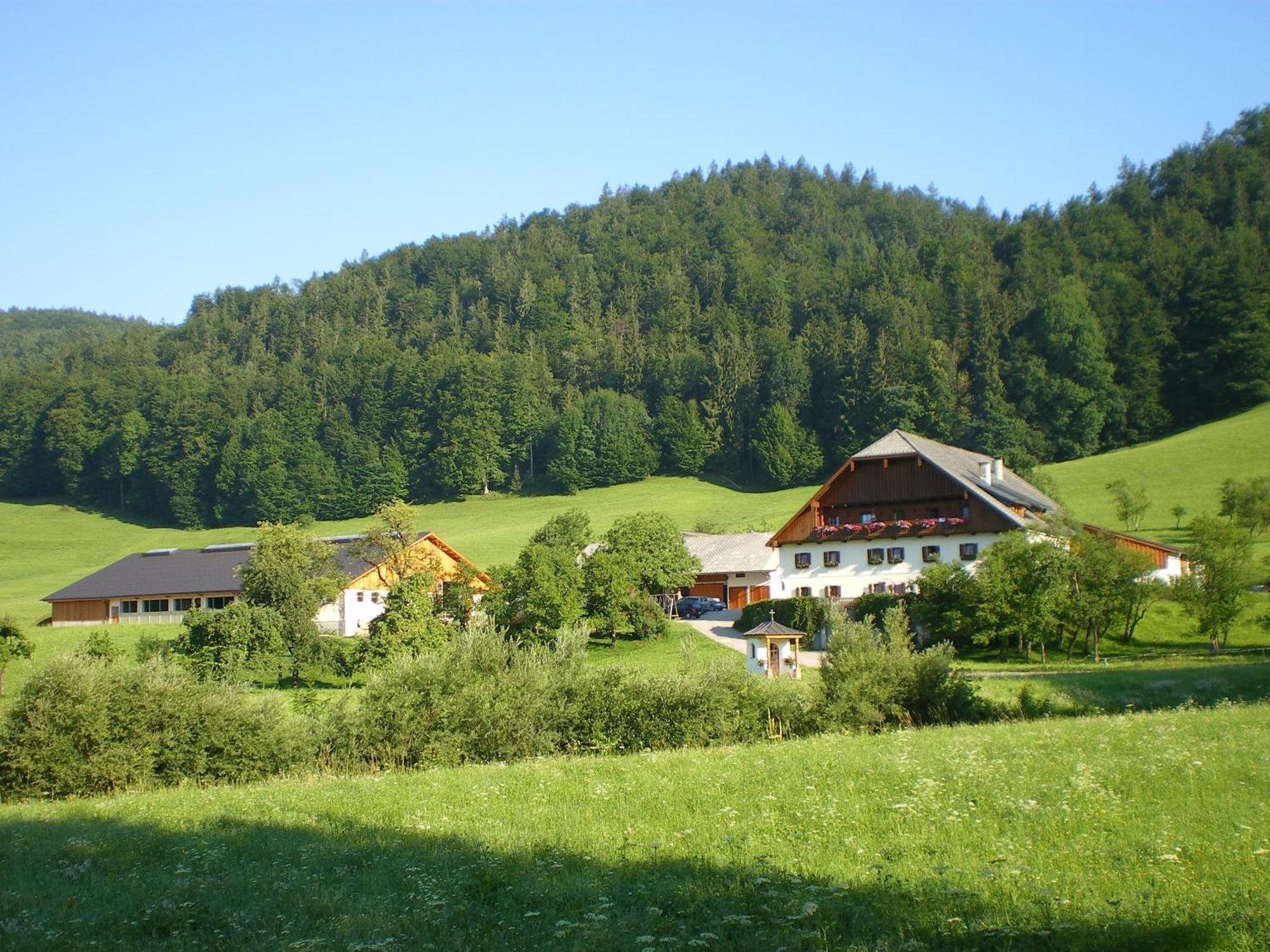 Villa Russbachbauer Saint Wolfgang Exterior foto