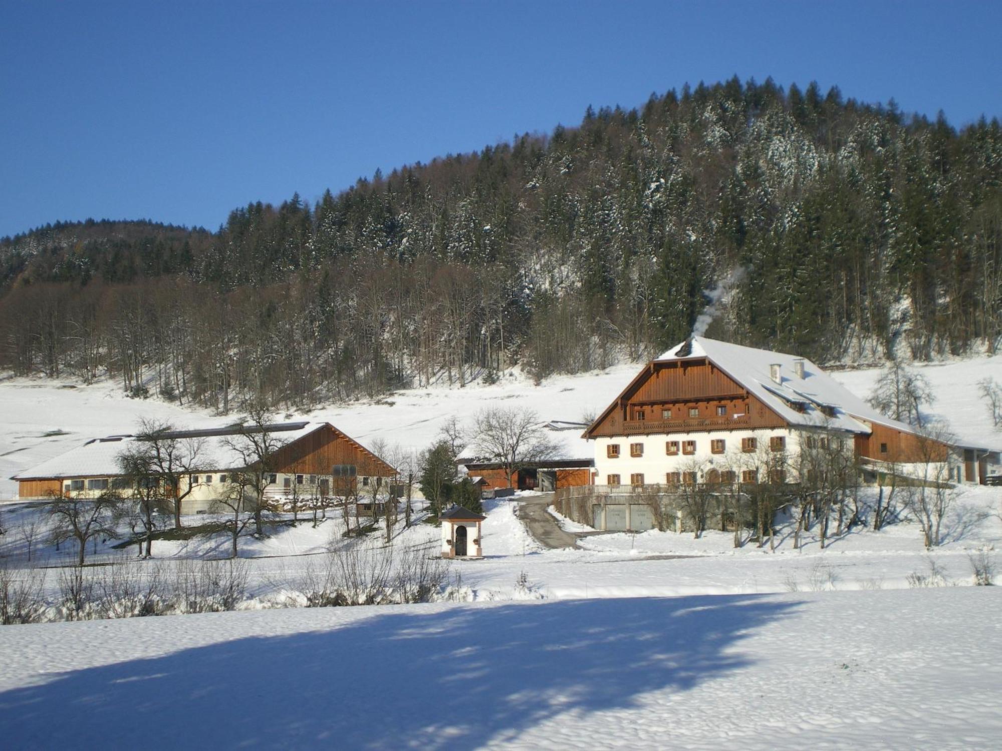 Villa Russbachbauer Saint Wolfgang Exterior foto